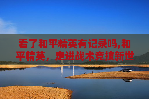 看了和平精英有记录吗,和平精英，走进战术竞技新世界，解锁多维策略与精彩玩法