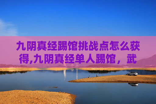 九阴真经踢馆挑战点怎么获得,九阴真经单人踢馆，武侠世界中的终极对决