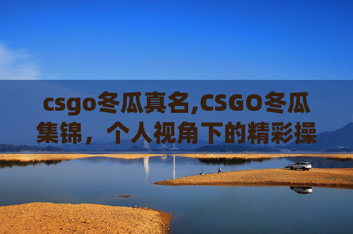 csgo冬瓜真名,CSGO冬瓜集锦，个人视角下的精彩操作与赛场魅力全解析