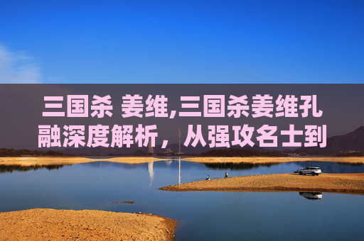 三国杀 姜维,三国杀姜维孔融深度解析，从强攻名士到克制的智者，挖掘角色核心魅力与时代价值