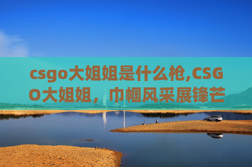csgo大姐姐是什么枪,CSGO大姐姐，巾帼风采展锋芒，赛场魅力引共鸣