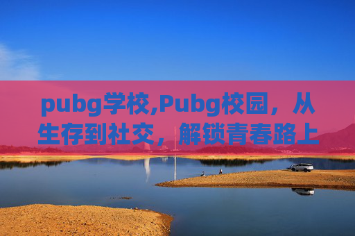 pubg学校,Pubg校园，从生存到社交，解锁青春路上的热血剧本