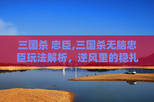 三国杀 忠臣,三国杀无脑忠臣玩法解析，逆风里的稳扎稳打策略指南