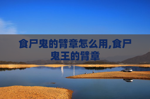 食尸鬼的臂章怎么用,食尸鬼王的臂章