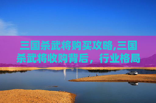 三国杀武将购买攻略,三国杀武将收购背后，行业格局演变与玩家博弈的新走向