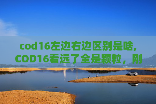 cod16左边右边区别是啥,COD16看远了全是颗粒，刚看懂背后的技术底层逻辑与常见避坑指南