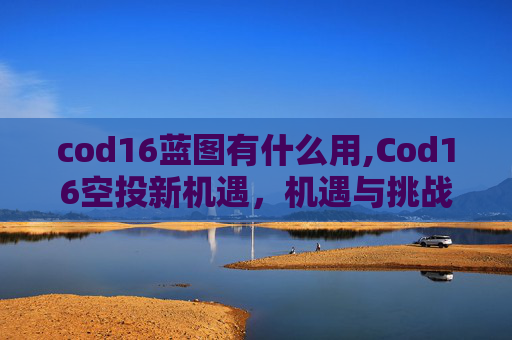 cod16蓝图有什么用,Cod16空投新机遇，机遇与挑战交织的探索