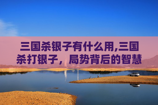 三国杀银子有什么用,三国杀打银子，局势背后的智慧博弈与策略解析