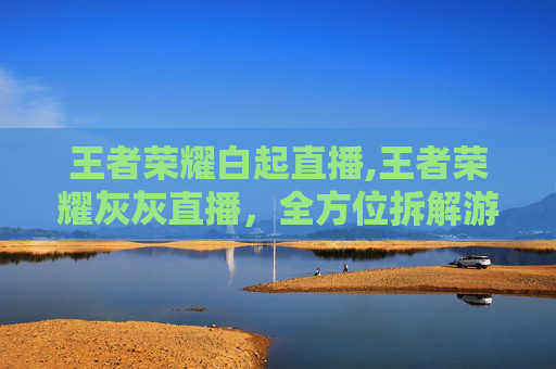 王者荣耀白起直播,王者荣耀灰灰直播，全方位拆解游戏操作技巧与互动背后的趣味逻辑
