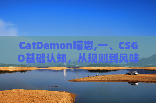 CatDemon喵崽,一、CSGO基础认知，从规则到风味的全面理解