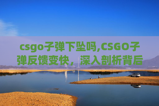 csgo子弹下坠吗,CSGO子弹反馈变快，深入剖析背后的机制与影响，看你能否适应新节奏