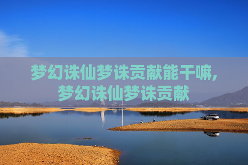 梦幻诛仙梦诛贡献能干嘛,梦幻诛仙梦诛贡献