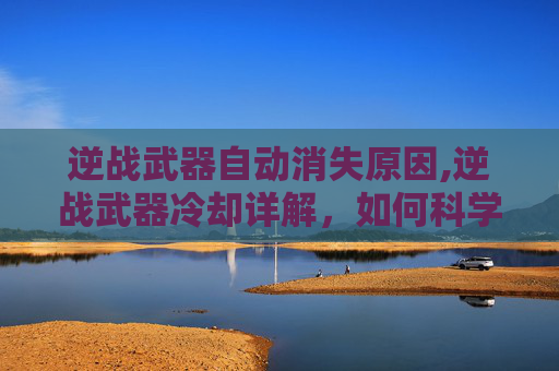逆战武器自动消失原因,逆战武器冷却详解，如何科学规划武器使用节奏，提升作战效率