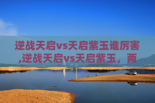 逆战天启vs天启紫玉谁厉害,逆战天启vs天启紫玉，两种极致战术风格的对局碰撞与博弈分析