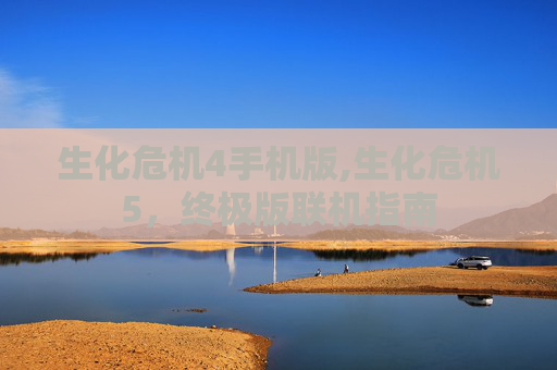 生化危机4手机版,生化危机5,终极版联机指南