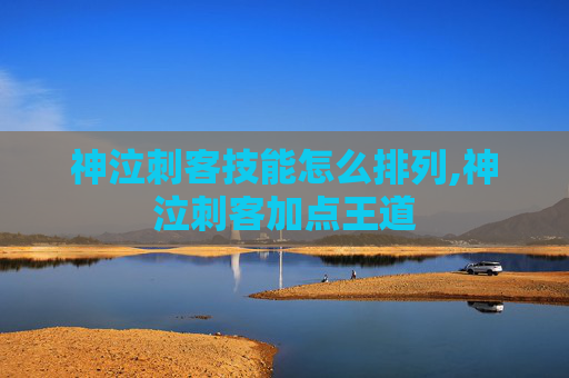 神泣刺客技能怎么排列,神泣刺客加点王道