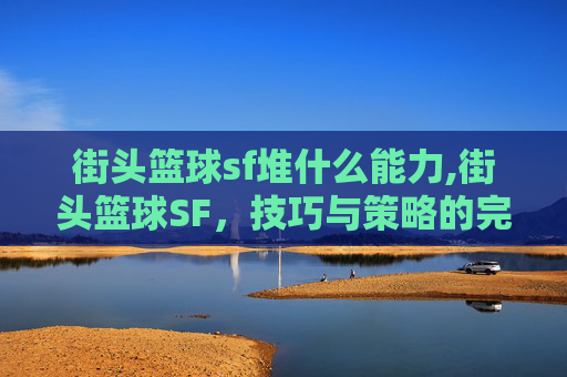 街头篮球sf堆什么能力,街头篮球SF,技巧与策略的完美结合 街头篮球sf堆什么能力,街头篮球SF,技巧与策略的完美结合