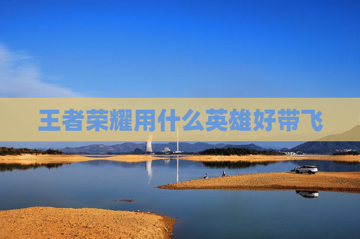 王者荣耀用什么英雄好带飞 王者荣耀用什么英雄好带飞
