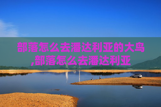 部落怎么去潘达利亚的大鸟,部落怎么去潘达利亚