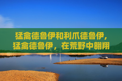 猛禽德鲁伊和利爪德鲁伊,猛禽德鲁伊，在荒野中翱翔的神秘力量