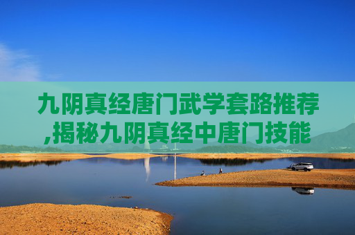 九阴真经唐门武学套路推荐,揭秘九阴真经中唐门技能的奥秘