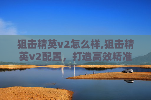 狙击精英v2怎么样,狙击精英v2配置，打造高效精准的射击利器