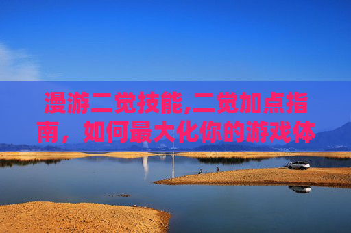漫游二觉技能,二觉加点指南,如何最大化你的游戏体验 漫游二觉技能,二觉加点指南,如何最大化你的游戏体验