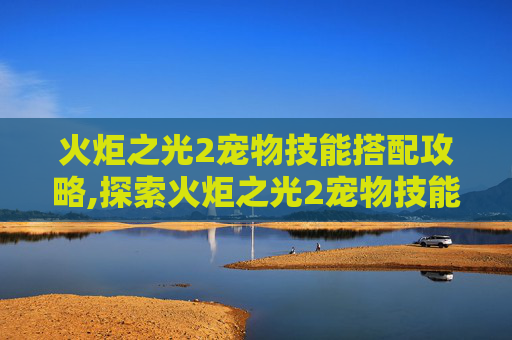 火炬之光2宠物技能搭配攻略,探索火炬之光2宠物技能的奥秘