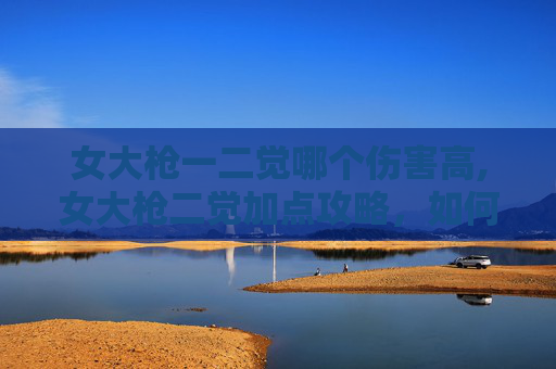 女大枪一二觉哪个伤害高,女大枪二觉加点攻略，如何最大化你的输出潜力