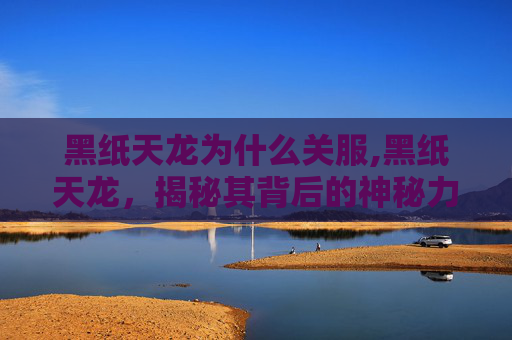 黑纸天龙为什么关服,黑纸天龙,揭秘其背后的神秘力量 黑纸天龙为什么关服,黑纸天龙,揭秘其背后的神秘力量