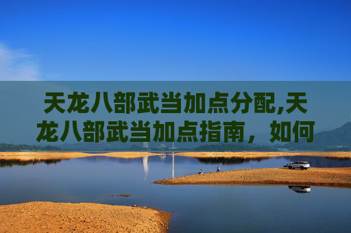 天龙八部武当加点分配,天龙八部武当加点指南，如何平衡输出与防御