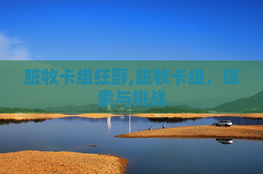 脏牧卡组狂野,脏牧卡组,探索与挑战