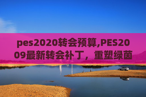 pes2020转会预算,PES2009最新转会补丁，重塑绿茵场上的传奇
