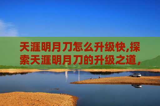 天涯明月刀怎么升级快,探索天涯明月刀的升级之道，从新手到高手的进阶之路