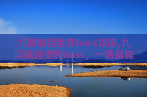 九阴真经世界boss攻略,九阴真经世界boss，一场策略与实力的较量