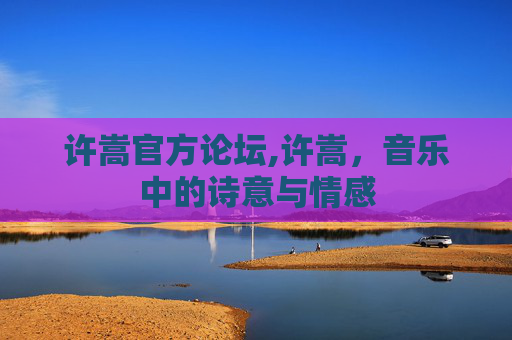 许嵩官方论坛,许嵩，音乐中的诗意与情感