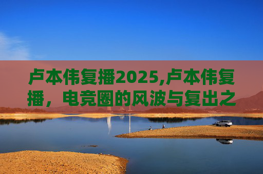 卢本伟复播2025,卢本伟复播，电竞圈的风波与复出之路