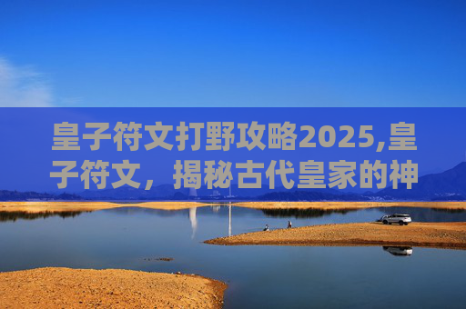 皇子符文打野攻略2025,皇子符文，揭秘古代皇家的神秘力量