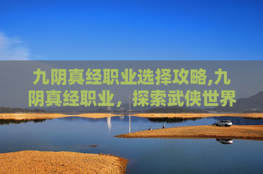 九阴真经职业选择攻略,九阴真经职业,探索武侠世界中的多元角色 九阴真经职业选择攻略,九阴真经职业,探索武侠世界中的多元角色