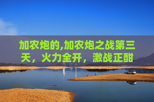 加农炮的,加农炮之战第三天，火力全开，激战正酣