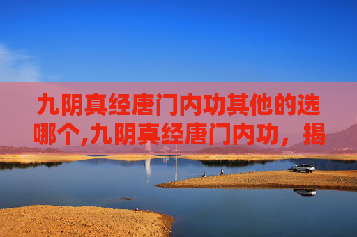 九阴真经唐门内功其他的选哪个,九阴真经唐门内功，揭秘武林中的隐秘力量