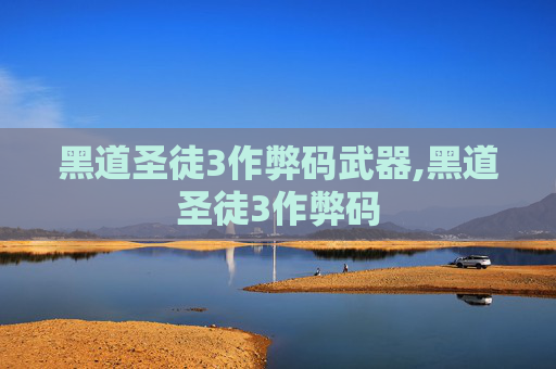 黑道圣徒3作弊码武器,黑道圣徒3作弊码
