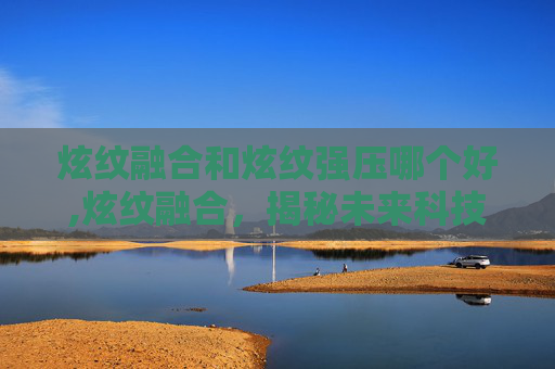 炫纹融合和炫纹强压哪个好,炫纹融合,揭秘未来科技的神秘力量