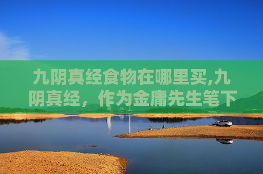 九阴真经食物在哪里买,九阴真经，作为金庸先生笔下的武侠世界经典之作，不仅以其深厚的武学内涵和复杂的江湖纷争吸引着无数读者，更在文化层面留下了深远的影响。其中，九阴真经不仅是一本武功秘籍，更是一段传奇故事的象征