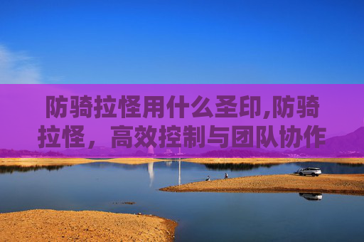 防骑拉怪用什么圣印,防骑拉怪，高效控制与团队协作的艺术