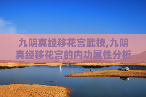 九阴真经移花宫武技,九阴真经移花宫的内功属性分析