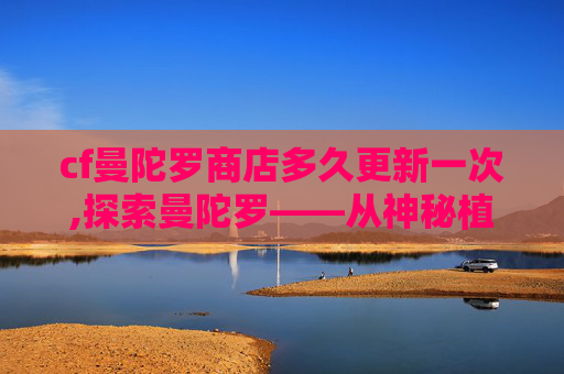 cf曼陀罗商店多久更新一次,探索曼陀罗——从神秘植物到精神疗法的奥秘
