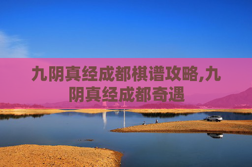 九阴真经成都棋谱攻略,九阴真经成都奇遇