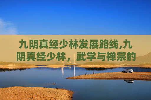 九阴真经少林发展路线,九阴真经少林，武学与禅宗的完美融合