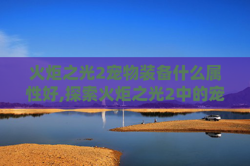 火炬之光2宠物装备什么属性好,探索火炬之光2中的宠物装备系统——增强你的冒险伙伴